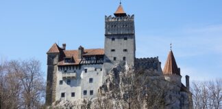 Jak zmienić branżę bez doświadczenia?