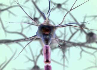 Jak stworzyć własną sieć neuronową?