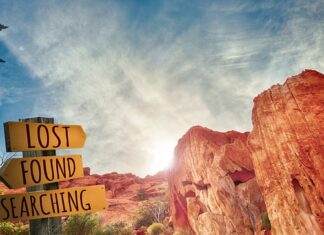 Na czym polega proces kierowania? Na czym polega proces kierowania?