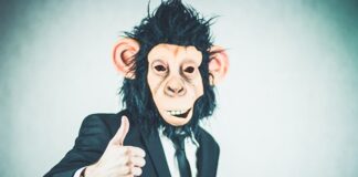 Jakie studia trzeba skończyć żeby zostać doradcą podatkowym?