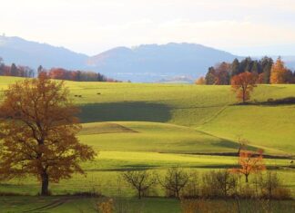 Ile to 30 tys brutto?