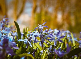 Czy język hiszpański jest trudniejszy od angielskiego? Czy język hiszpański jest trudniejszy od angielskiego?