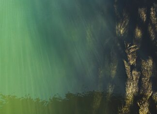 Ile słów na poziom B2? Ile słów na poziom B2?