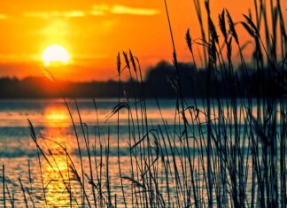 Czy czek jest instrumentem finansowym? Czy czek jest instrumentem finansowym?